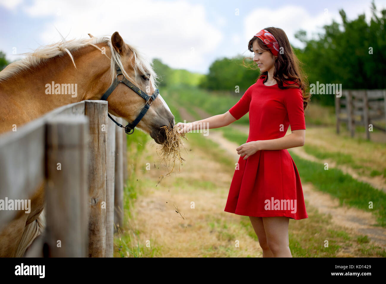 Giovani carino donna cavallo di alimentazione in agriturismo Foto Stock