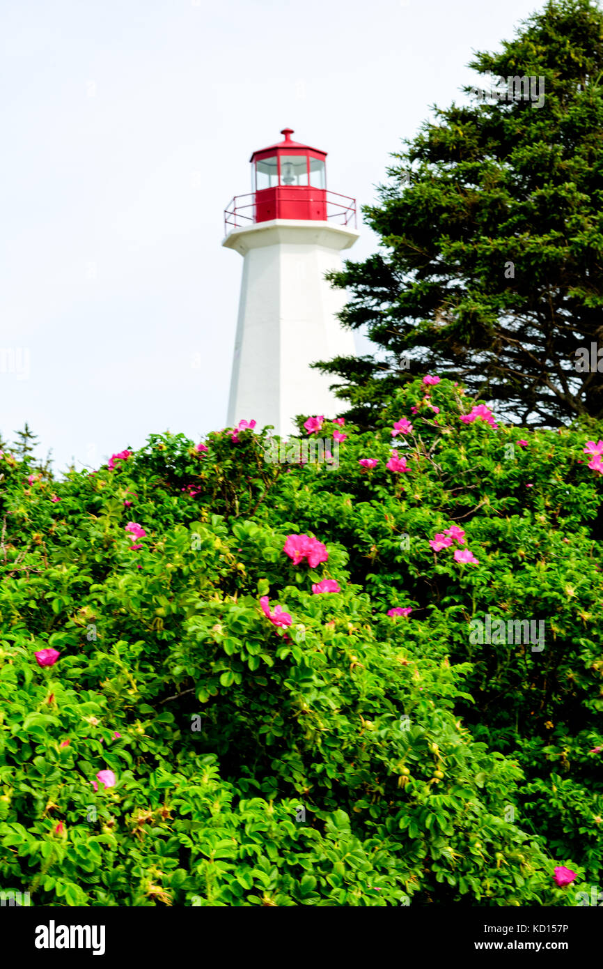Capo george lighthouse, sunrise trail, Nova Scotia, Canada Foto Stock