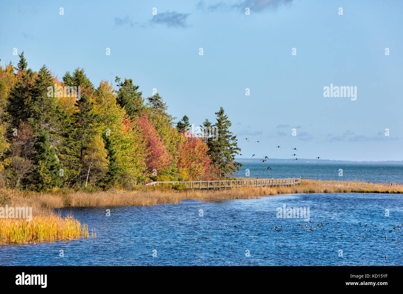 Spence cove, botsford, westmorland County, New Brunswick, Canada Foto Stock
