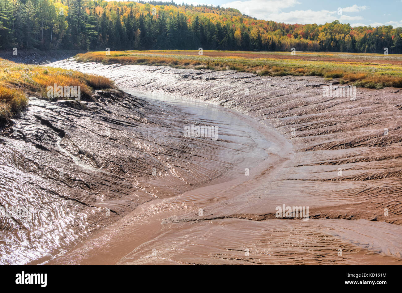 Hall's Creek, hillsborough, Albert County, New Brunswick, Canada Foto Stock