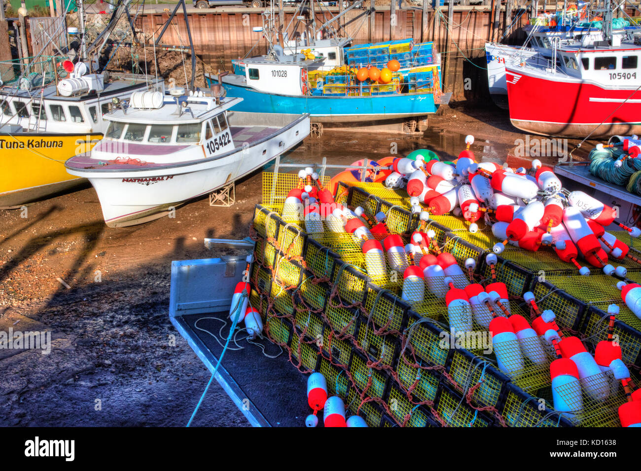 Barche da pesca a bassa marea, baia di Fundy, alma, New Brunswick, Canada Foto Stock