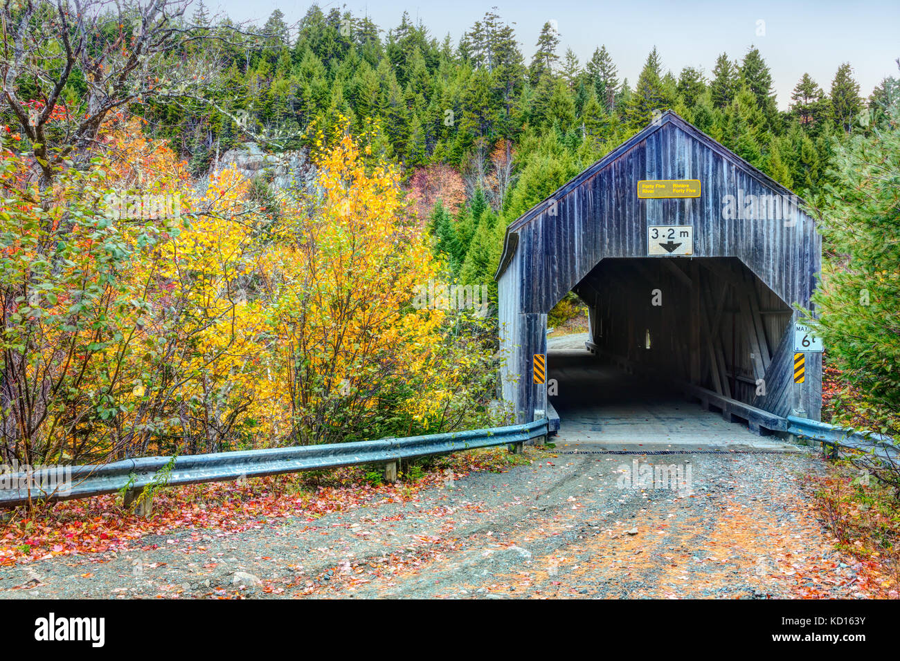Quaranta cinque ponte coperto, fundy national park, New Brunswick, Canada Foto Stock