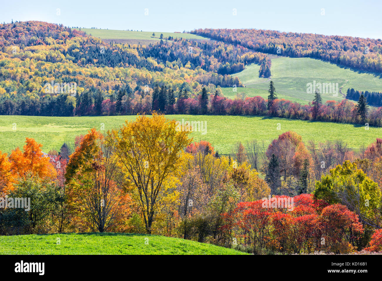 Caduta delle foglie, Olandese valley, New Brunswick, Canada Foto Stock