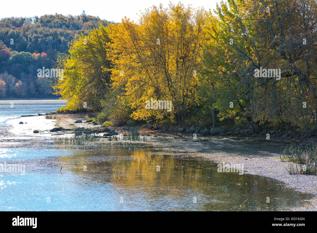 Fiume saint john, hamstead, New Brunswick, Canada Foto Stock