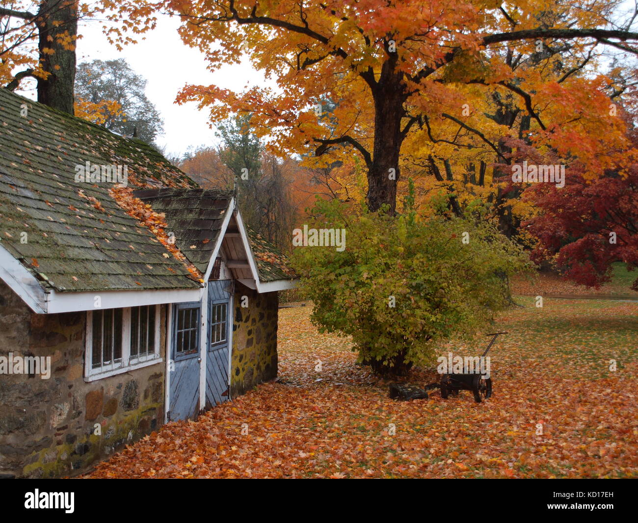 Autunno a Ringwood state Park, Ringwood, NJ Foto Stock