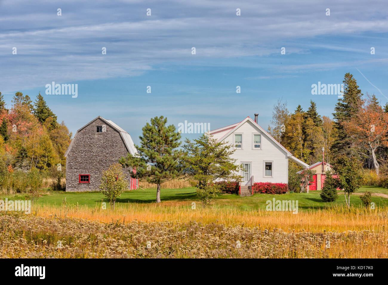 Spence cove, botsford, westmorland County, New Brunswick, Canada Foto Stock