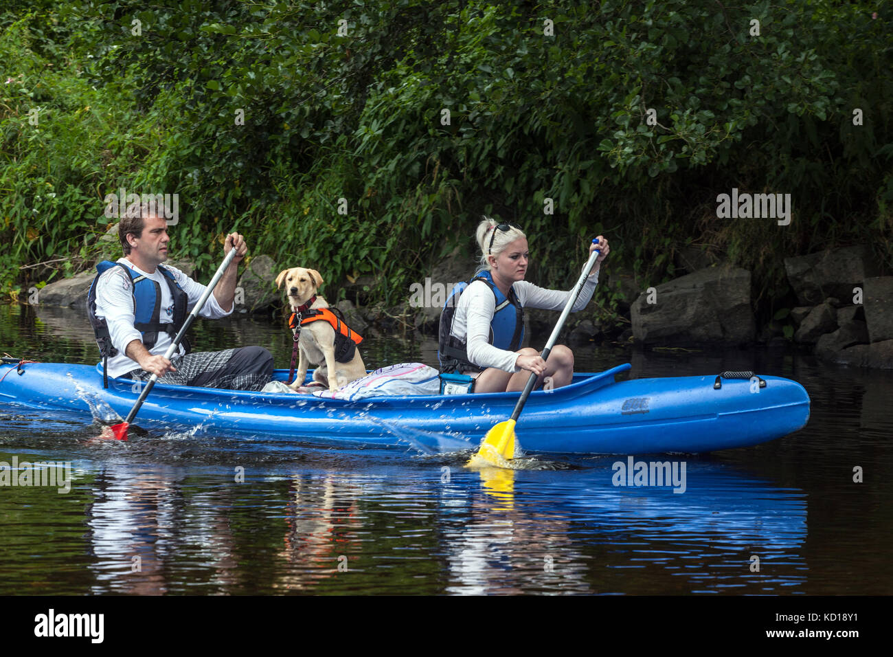 Canoa con coppia e cane scendendo, persone canoa fiume Otava, Vacanze in estate, Repubblica Ceca uomo Donna cane estate Foto Stock