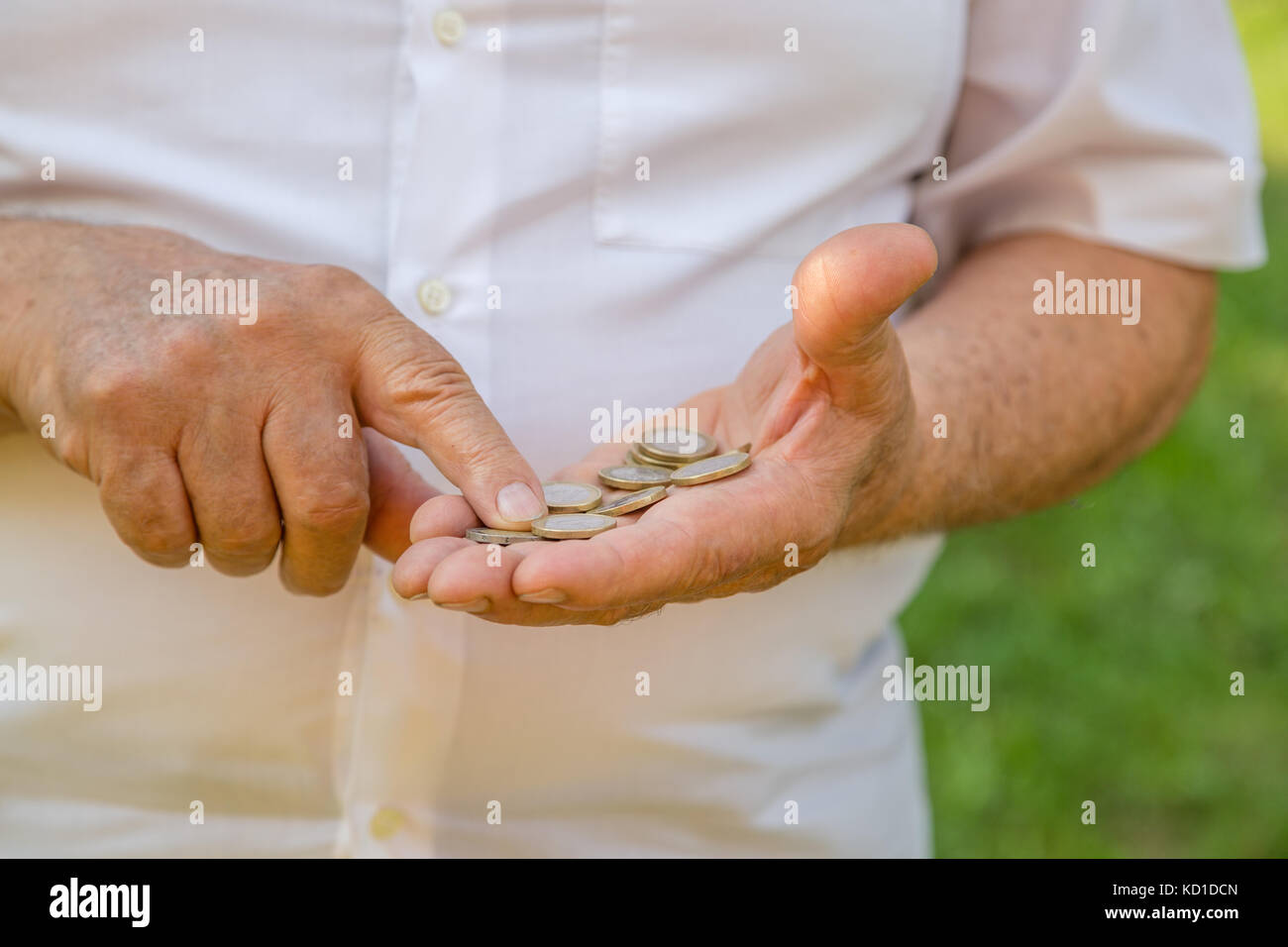 Il vecchio uomo di euro di conteggio in un giardino verde Foto Stock