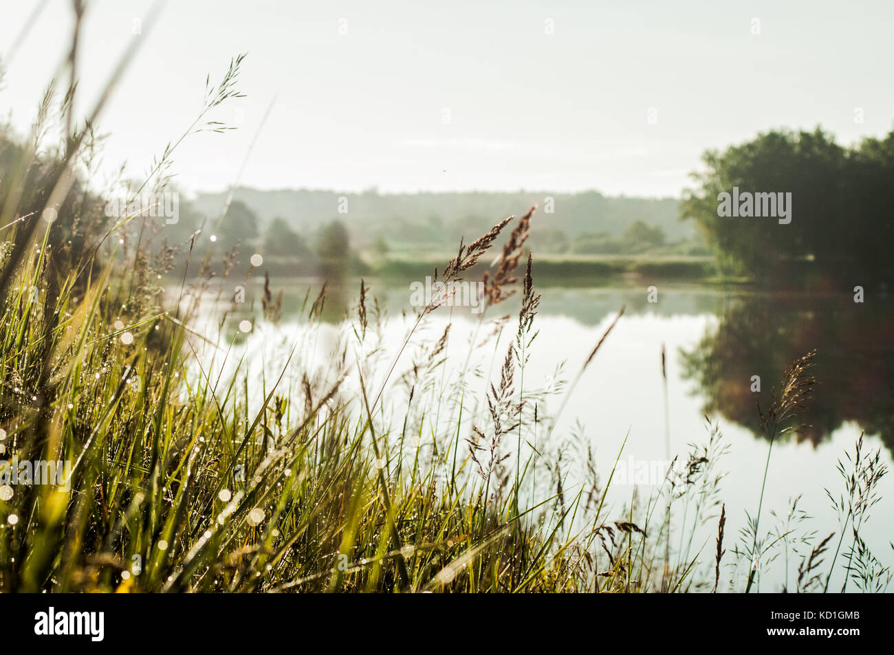 Romantico paesaggio di mattina con il lago di albero e riflessioni su di esso. Foto Stock