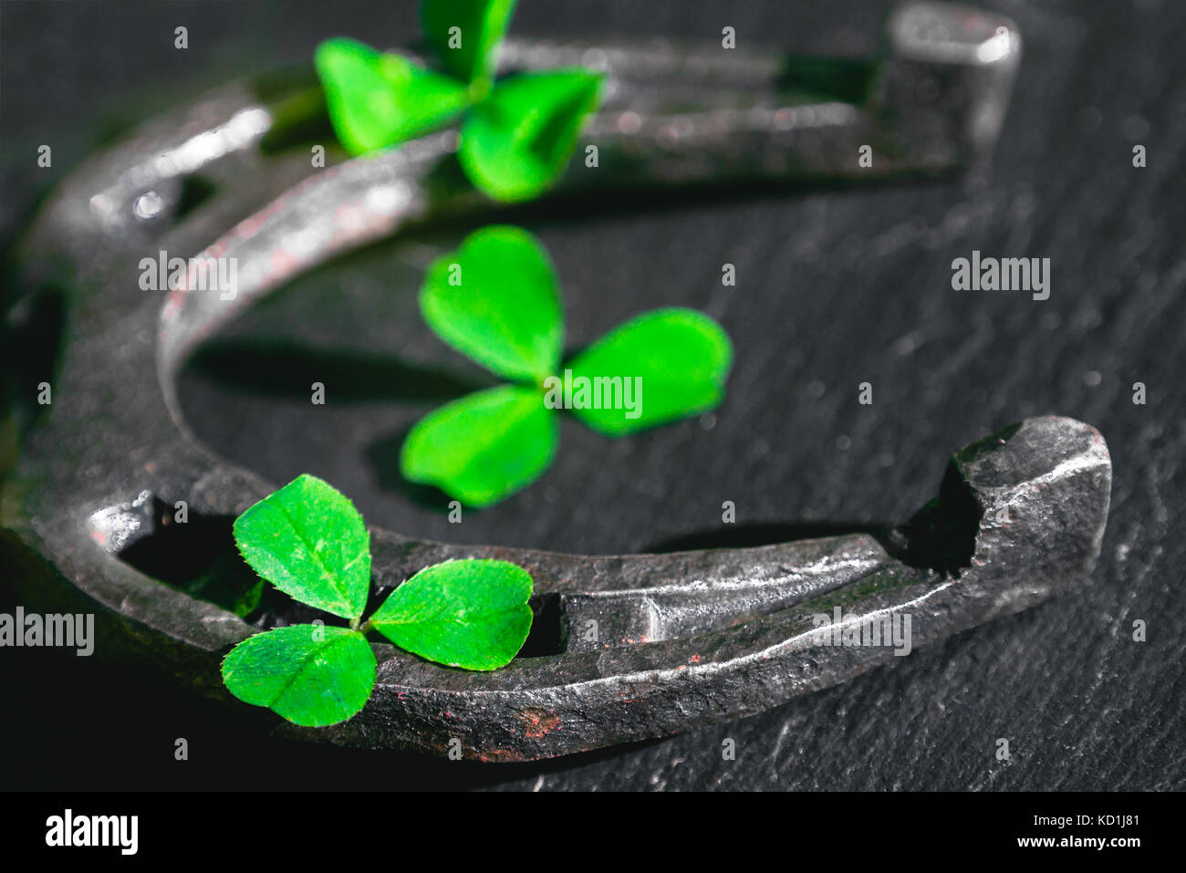 Il ferro di cavallo e i petali trifogli su sfondo scuro con profondità di campo Foto Stock