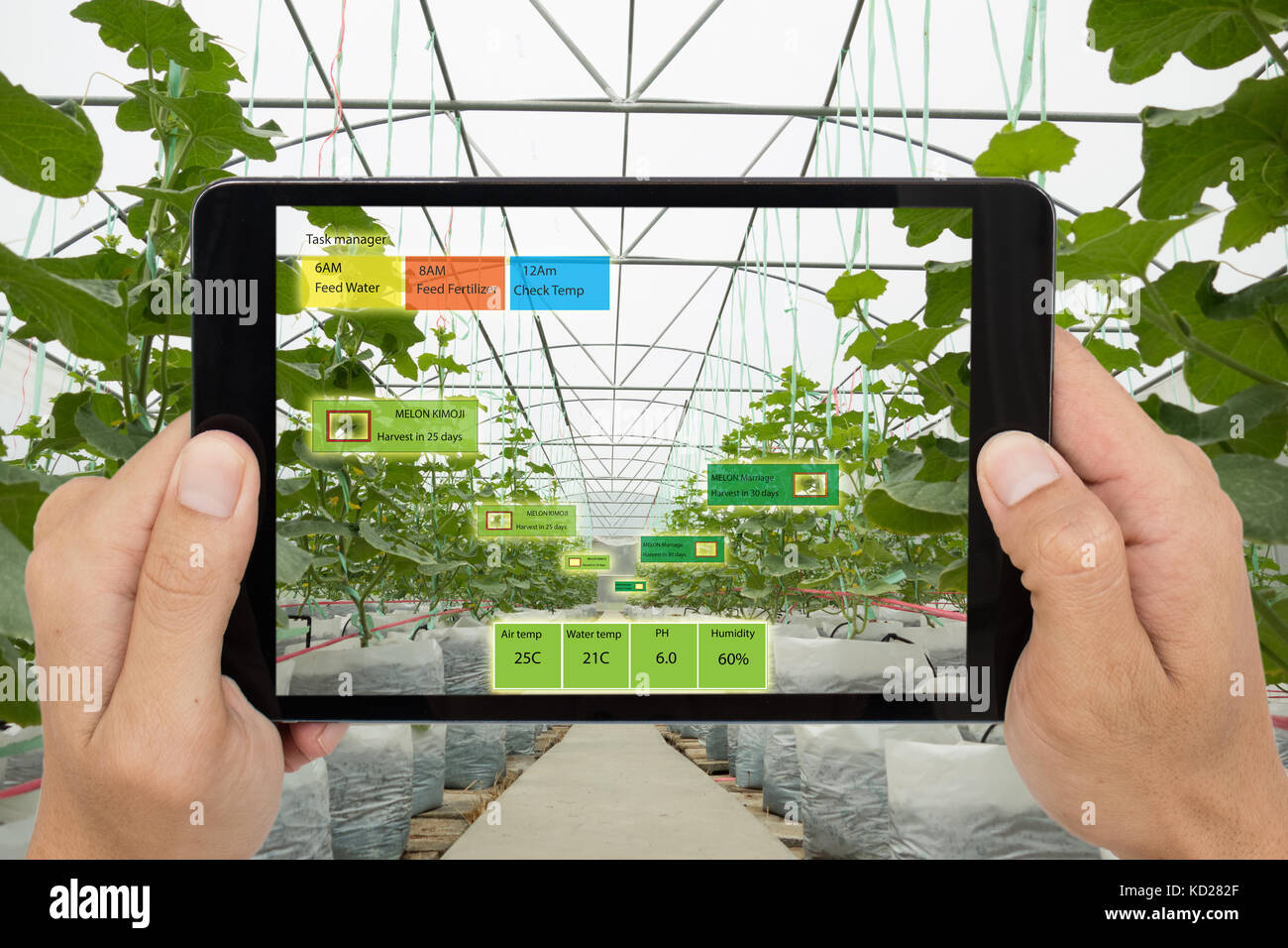 Agricoltura intelligente concetto, agronomo o agricoltore usa l'intelligenza artificiale e la realtà aumentata in una fattoria per far crescere i sistemi, il risparmio di acqua ,resource Foto Stock