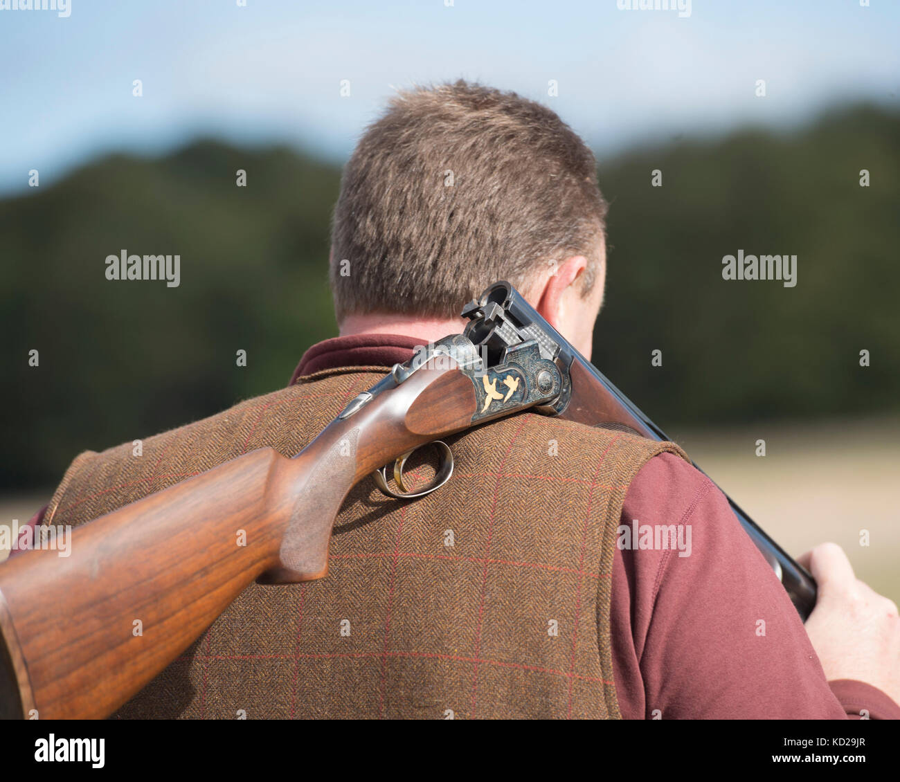 Uomo che porta un fucile su un fagiano shoot Foto Stock