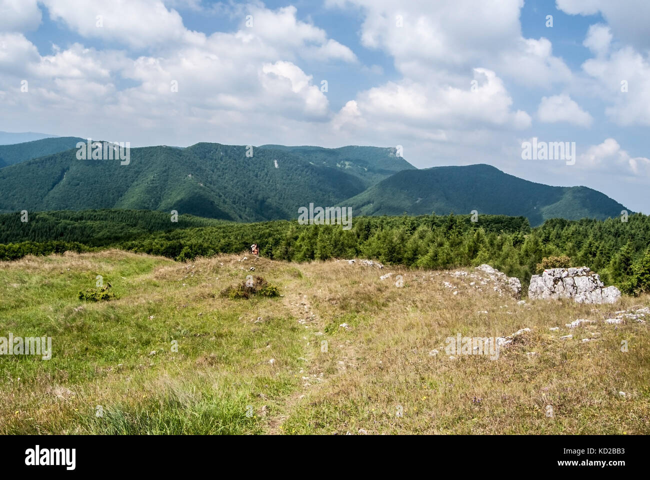 Prato di montagna con il sentiero escursionistico e piccole rocce bellow skalky hill con le colline sullo sfondo e cielo blu in mala fatra montagne in Slovacchia Foto Stock