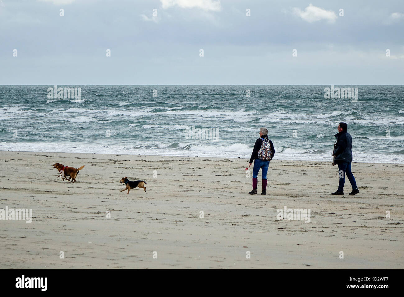 West strand, west wittering, west sussex, Regno Unito. Il 10 ottobre 2017. condizioni di bassa pressione portato ventoso fino alla costa sud di oggi. west wittering beach in west sussex. Credito: James jagger/alamy live news Foto Stock