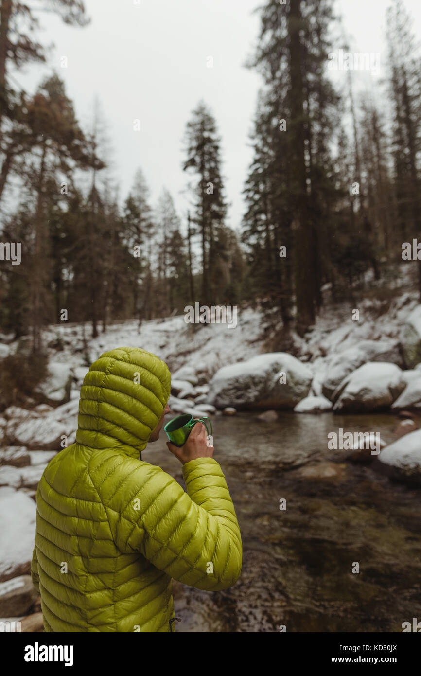 Giovane maschio escursionista di bere il caffè da boschi innevati river, Sequoia National Park, California, Stati Uniti d'America Foto Stock