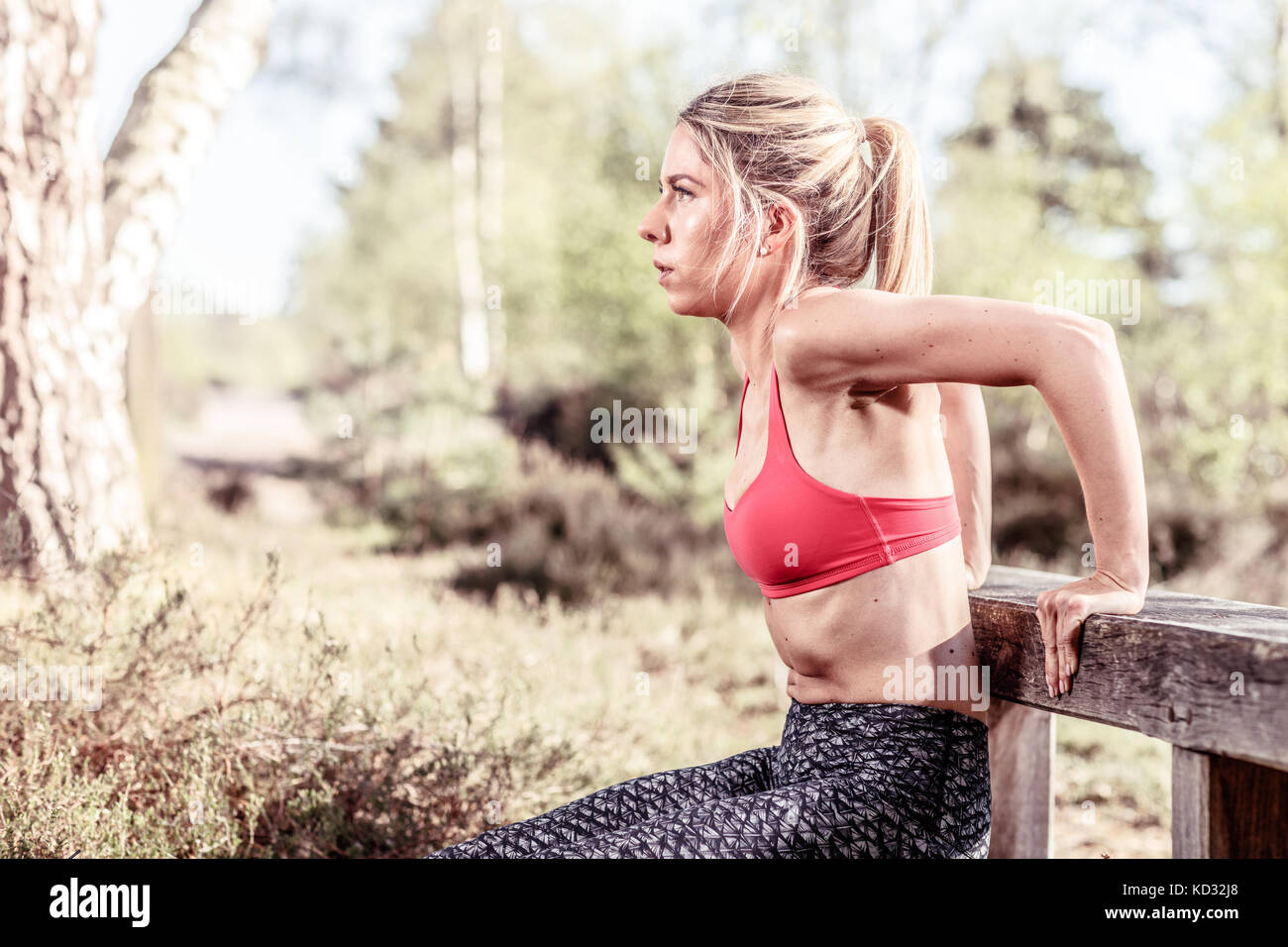 Giovane donna in ambiente rurale, esercitando, facendo push-up sul banco di lavoro Foto Stock