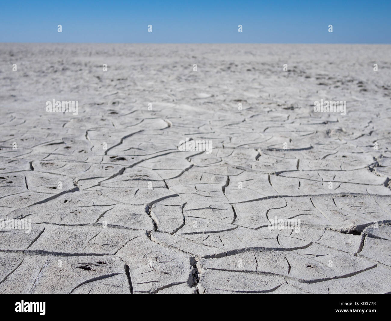 Incrinato il grigio e il bianco del suolo di gigante sale secco o piana salina in Botswana, Sud Africa Foto Stock