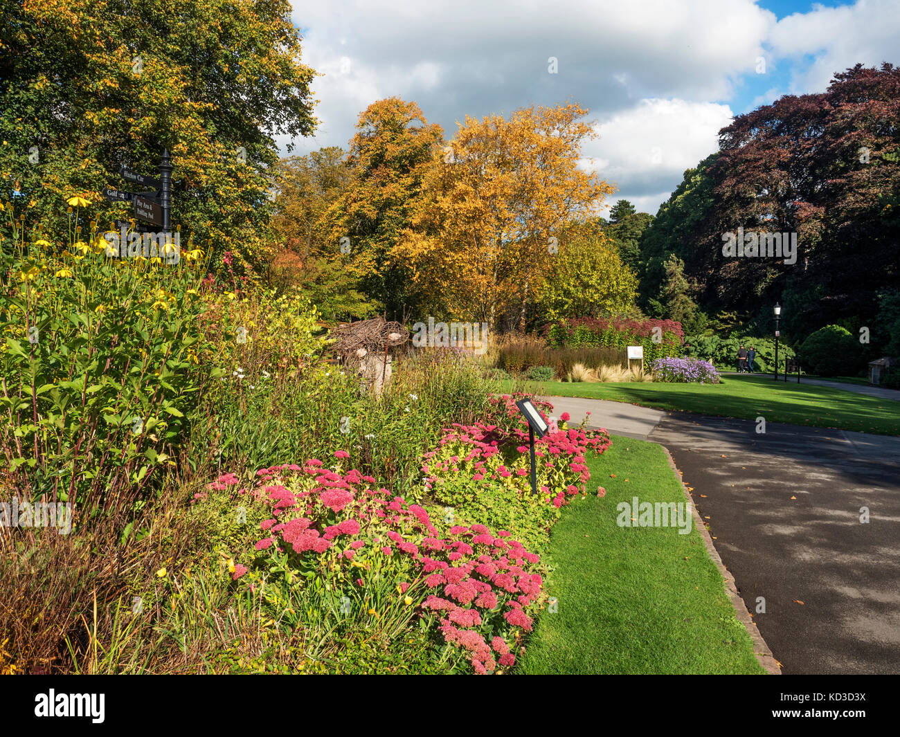 Le aiuole nei giardini della valle a inizio autunno Harrogate North Yorkshire, Inghilterra Foto Stock