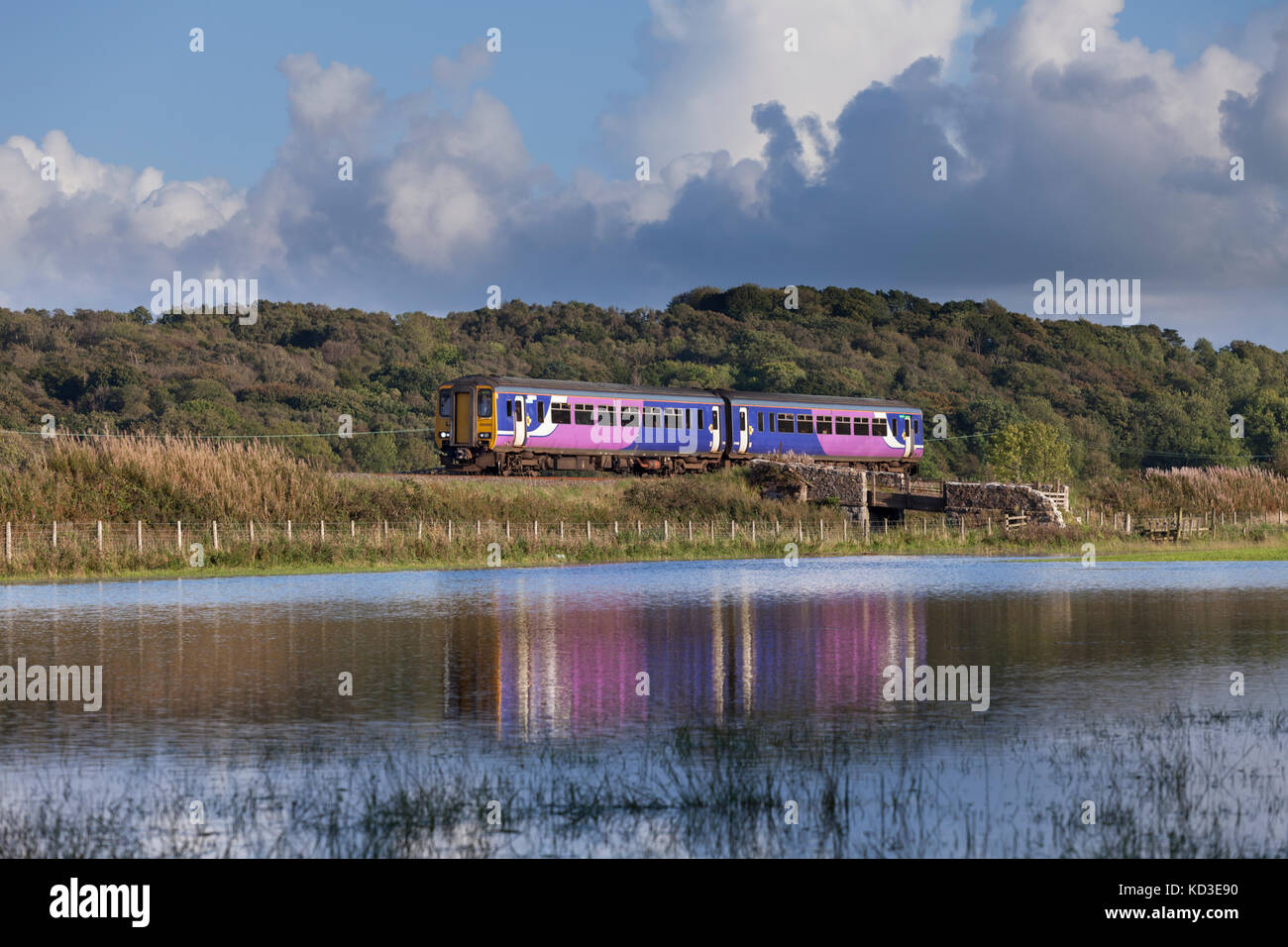 Nord classe rampa 156 sprinter treno di lavoro 156466 il 1529 Buxton - Barrow In Furness passato campi allagati vicino a Arnside, su la costa del Cumbria Foto Stock