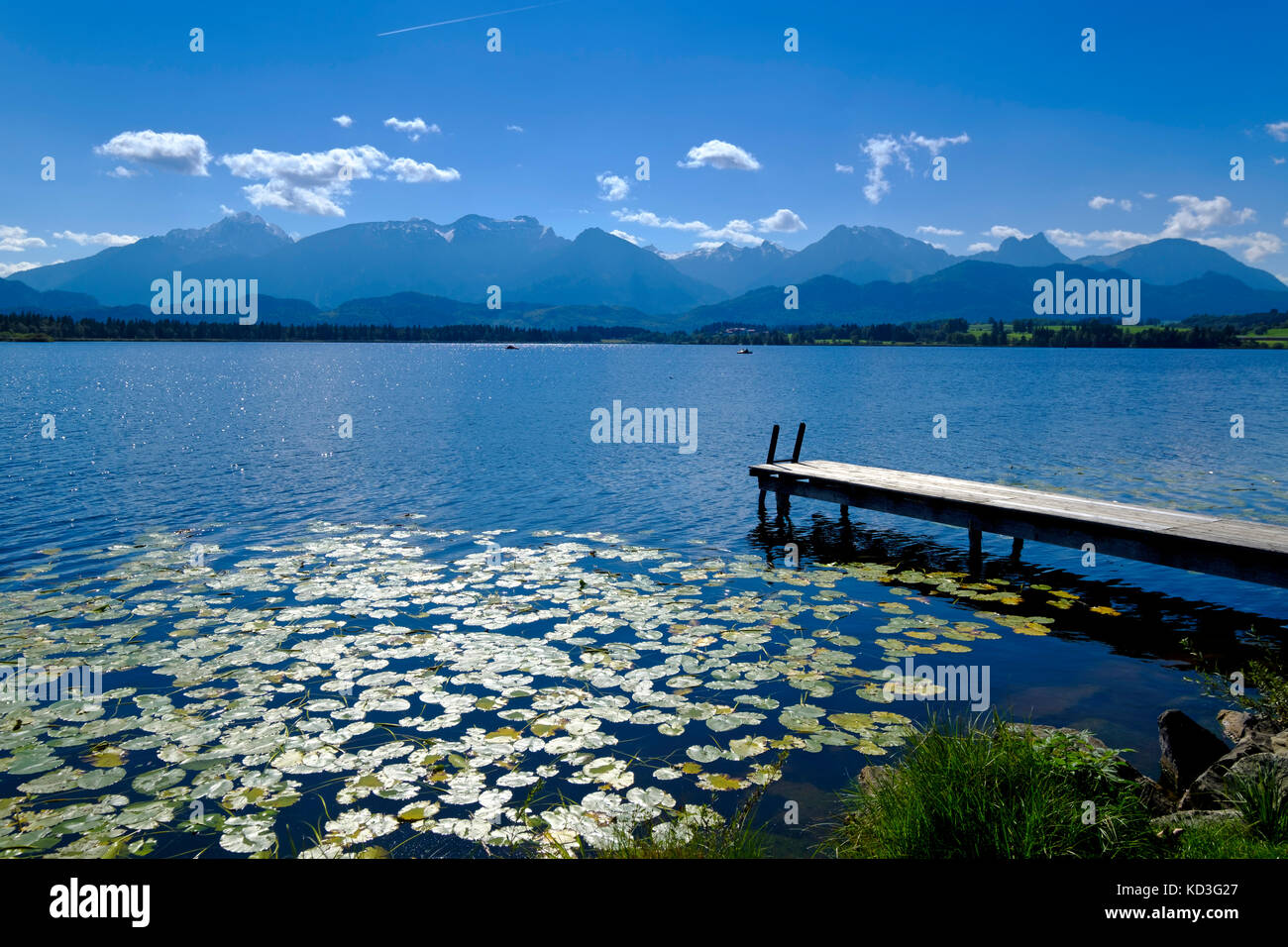 Ponte all'Hopfensee, Alpi di Allgäu, Hopfen am See, Ostallgäu, Baviera, Germania Foto Stock