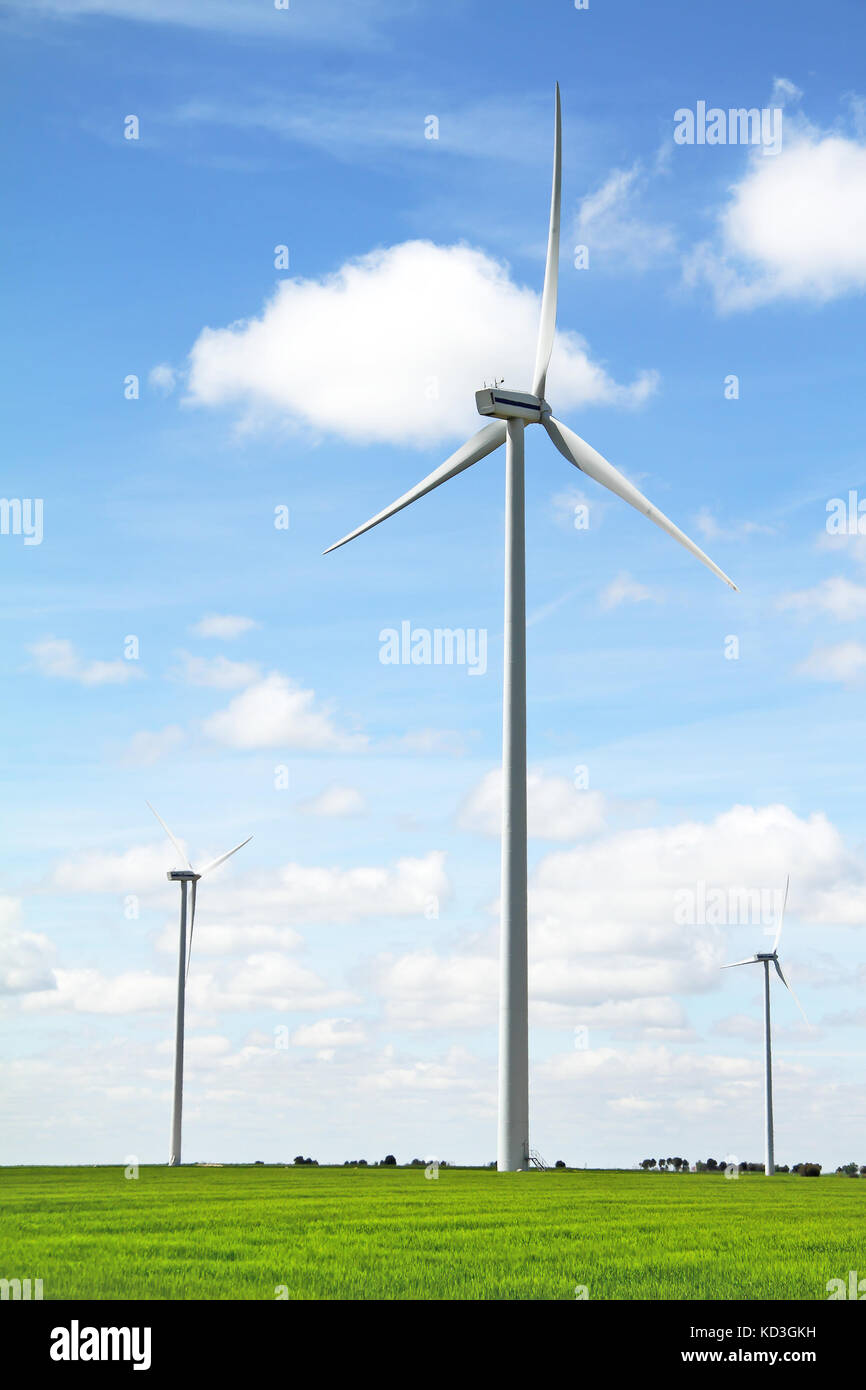 Turbina eolica in un campo verde. fonte di energia rinnovabile. Foto Stock