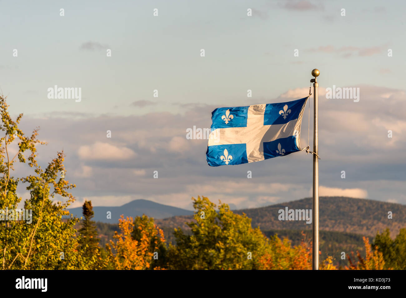 Bandiera del Quebec e i colori dell'autunno Foto Stock