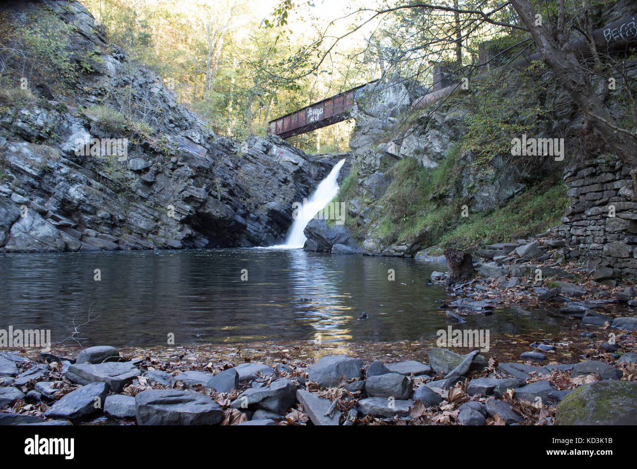 Una cascata nel bosco Foto Stock