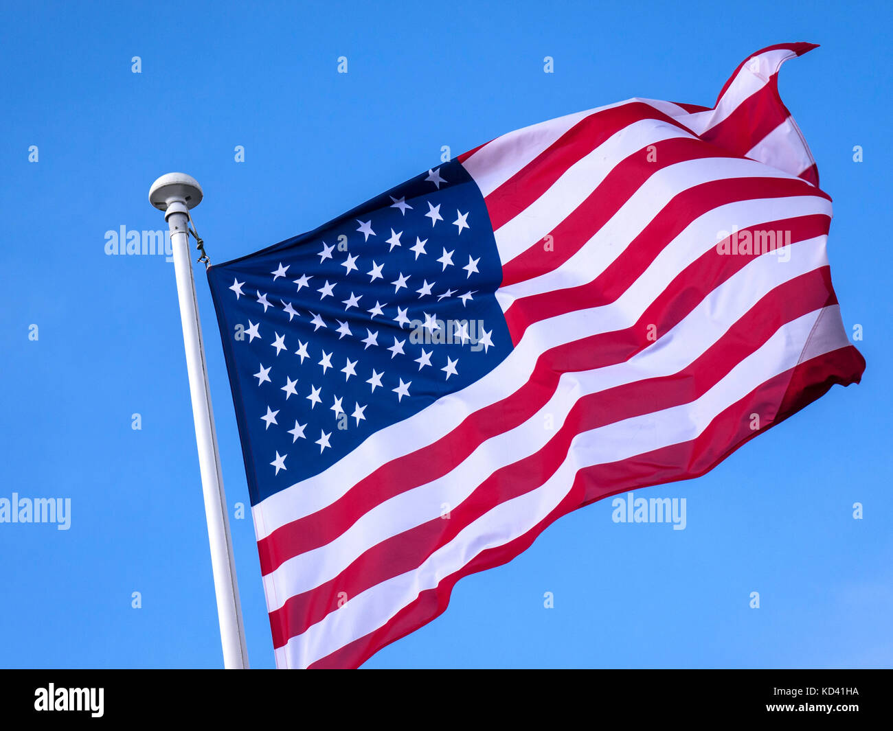 Stars & Stripes bandiera americana in azione arresto di close-up, fluente nella brezza soleggiata con cielo blu dietro Stati Uniti d'America Foto Stock