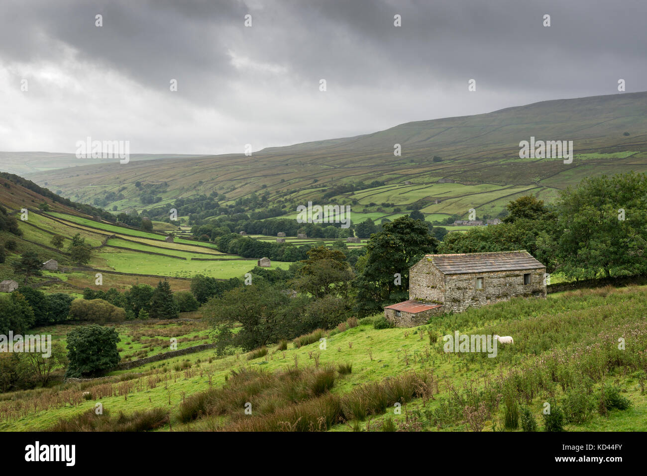 Swaledale superiore in una piovosa giornata di settembre, Yorkshire Dales, Inghilterra. Foto Stock