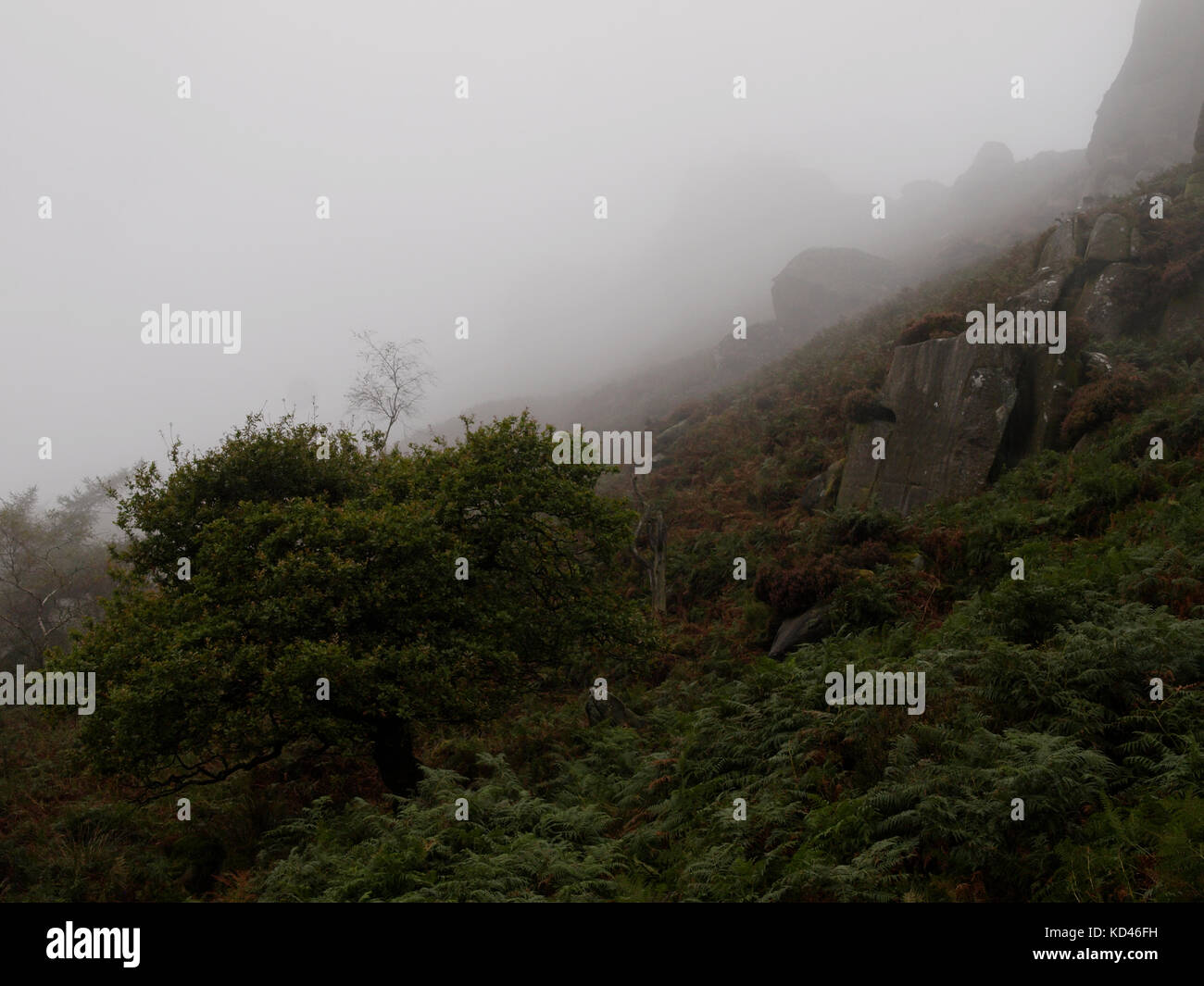 Nebbioso giorno presso il roaches, il Peak District, Staffordshire, Regno Unito Foto Stock
