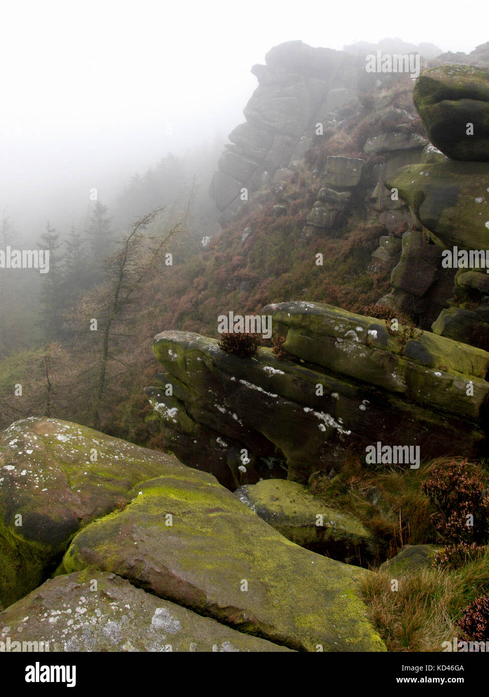 Nebbioso giorno sul scarafaggi, il Peak District, Staffordshire, Regno Unito Foto Stock
