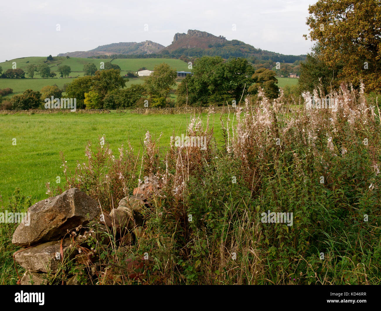Vista sui campi per il roaches, il Peak District, Staffordshire, Regno Unito Foto Stock