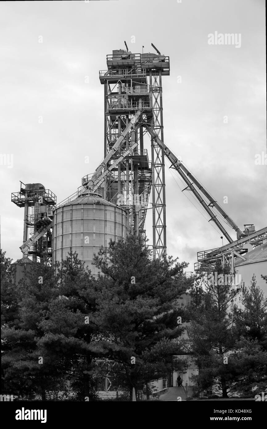 Commerciale di elevatore della granella in bianco e nero. Foto Stock