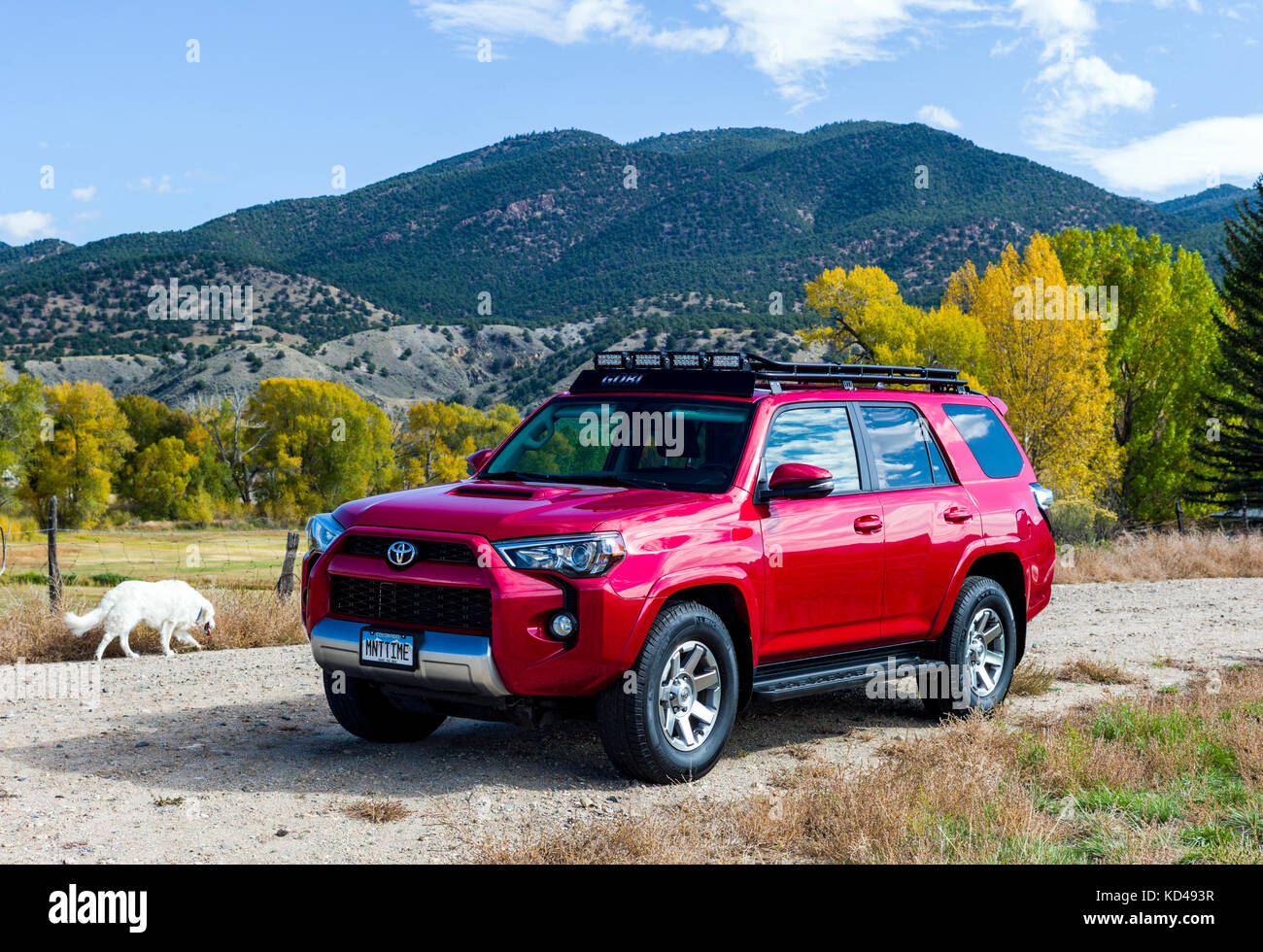 Red 2014 Toyota 4Runner Trail Premium su quattro ruote motrici 4WD Road, Central Colorado, STATI UNITI D'AMERICA Foto Stock