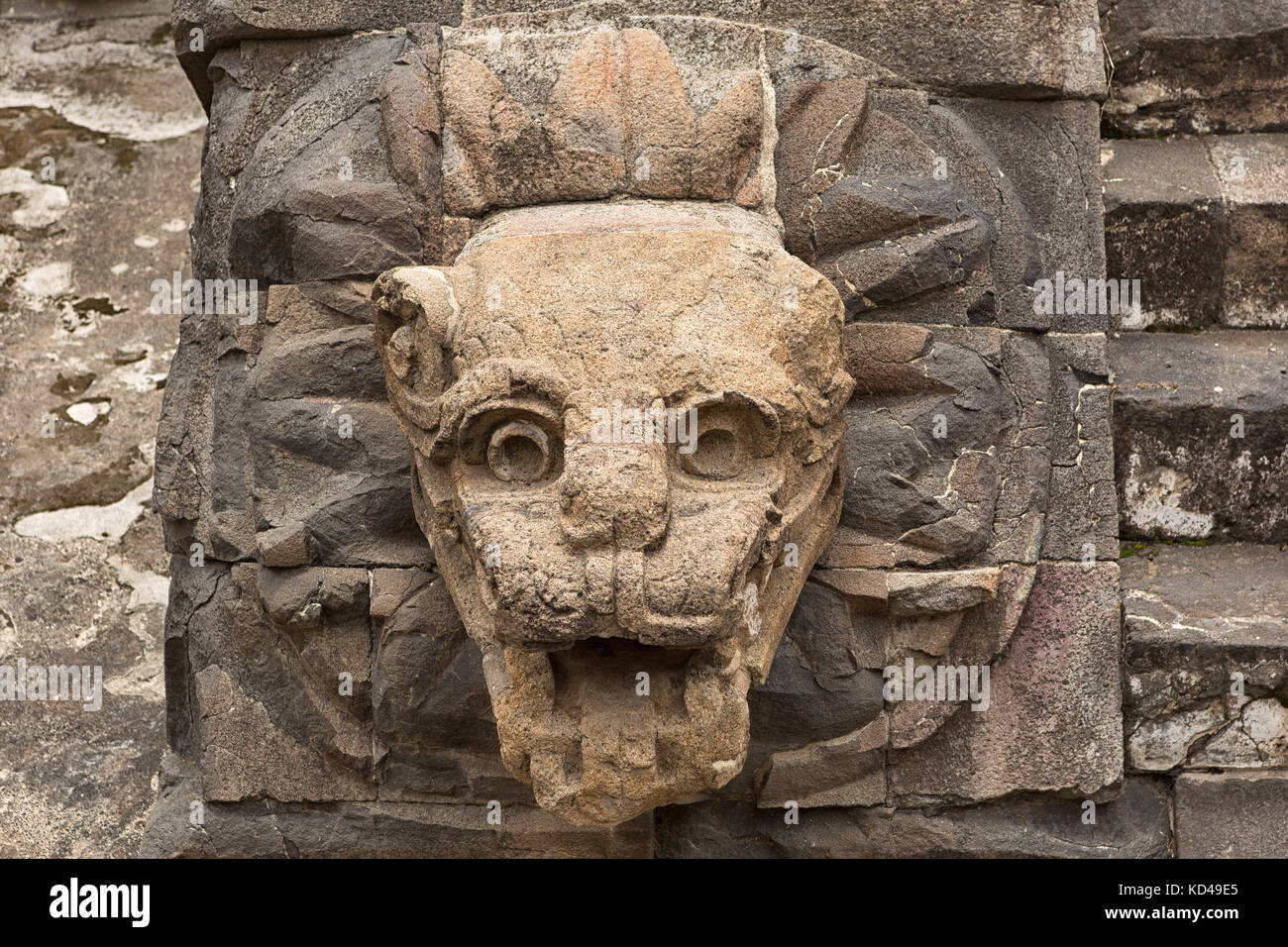Pietra scolpita decorazione statua closeup dettaglio di Teotihuacan sito archeologico in Messico Foto Stock