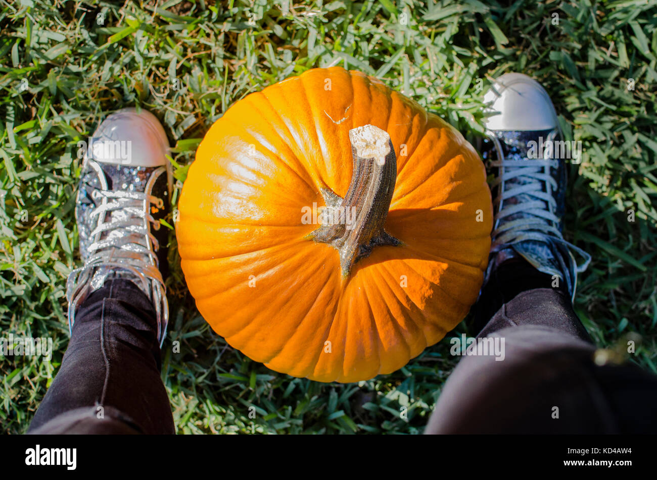 Punto di vista guardando verso il basso della parte superiore della zucca. divertenti per Halloween festosa vacanza con arancio brillante di zucca. Foto Stock