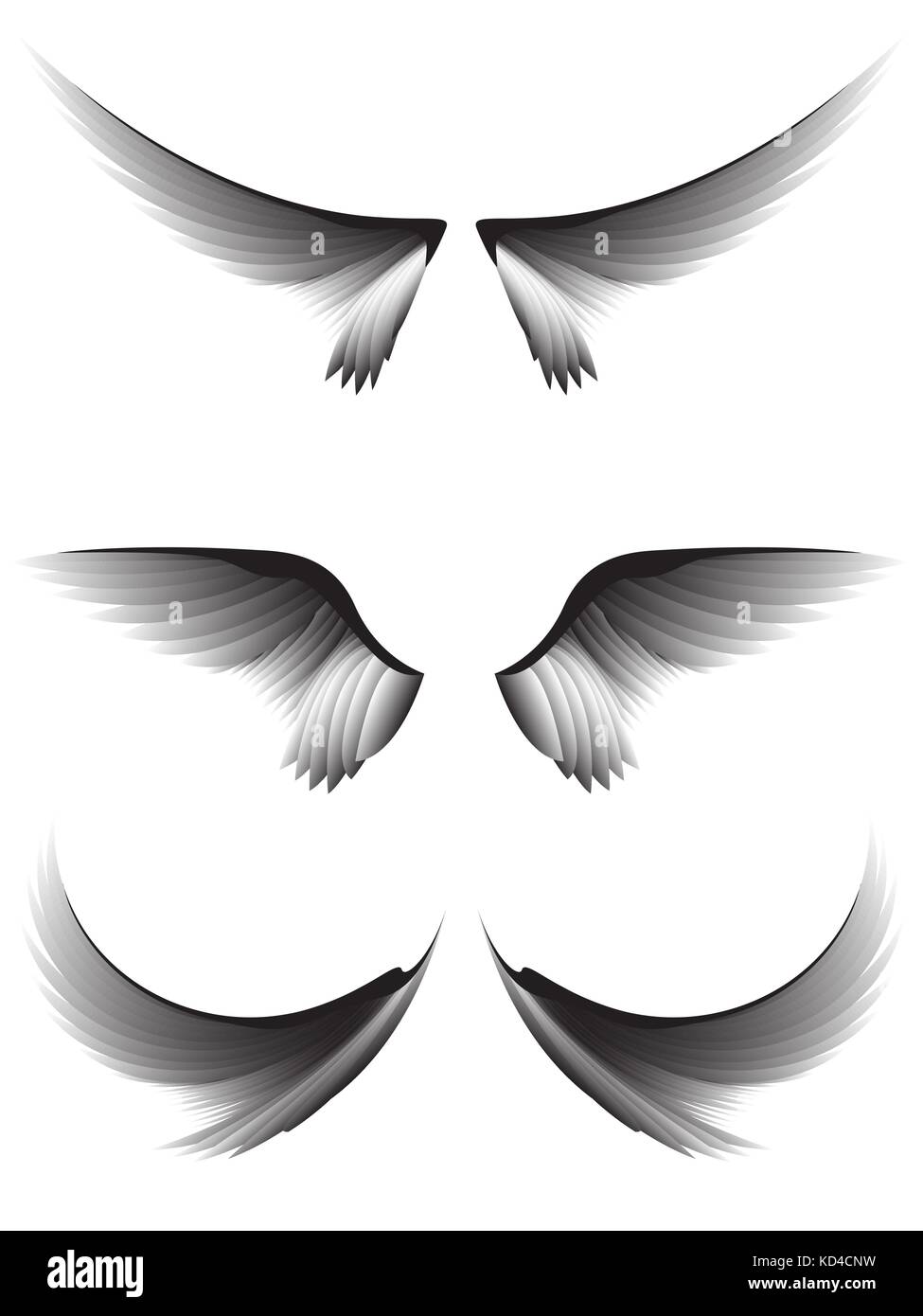 Impostare le ali di colore grigio su sfondo bianco, elemento di design Illustrazione Vettoriale