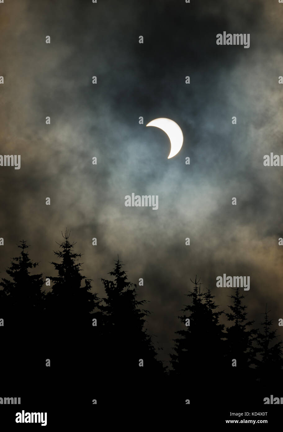 Parziale eclissi solare con alberi in primo piano Foto Stock