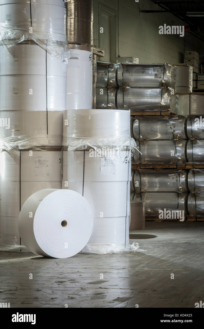Pile di bianco di grandi rotoli di carta industriali Foto Stock
