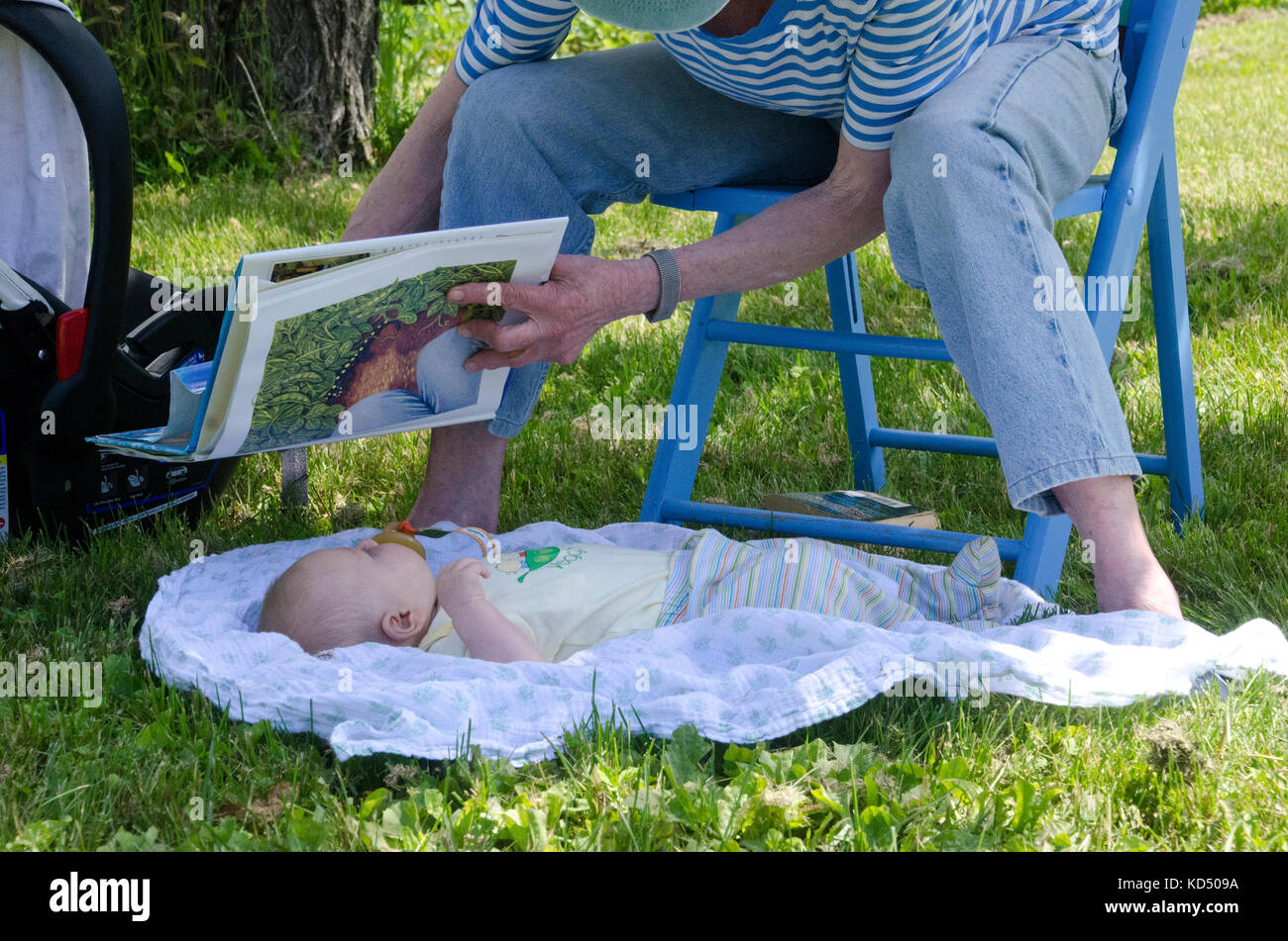 Piccolo lettore: Baby ha la possibilità di visualizzare il libro, comunità giardino, Maine, Stati Uniti d'America Foto Stock