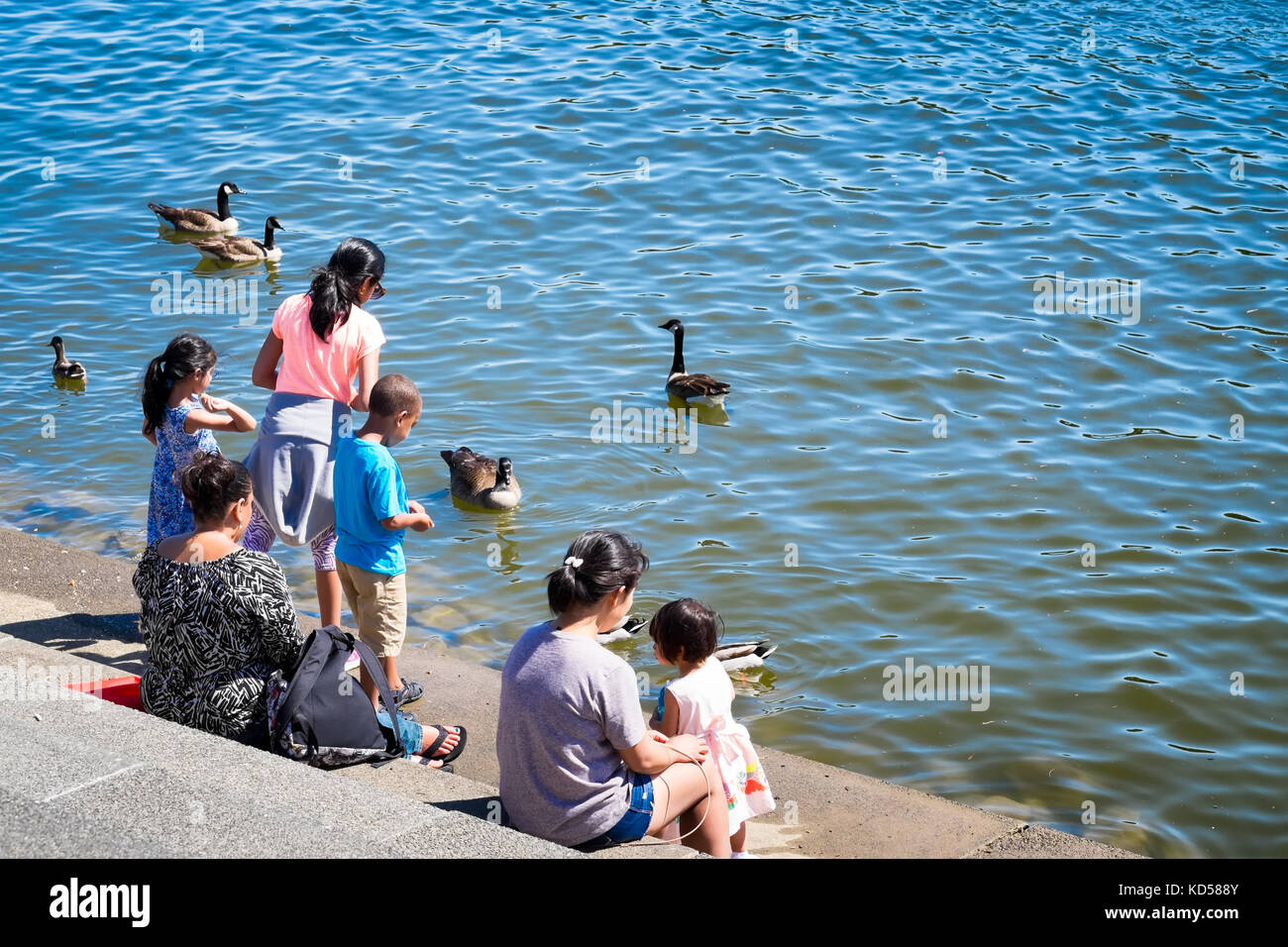 Washington DC - 24 maggio 2015: bambini dar da mangiare alle anatre sul fiume scale del nuovo georgetown waterfront national park, sul fiume Potomac. popolari Foto Stock