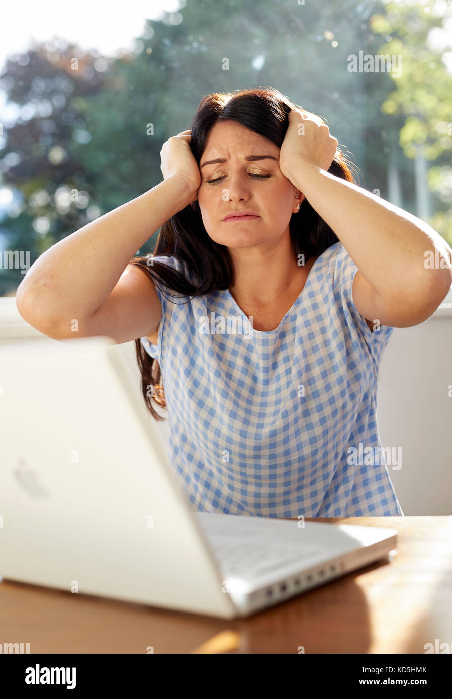 Donna banking online Foto Stock