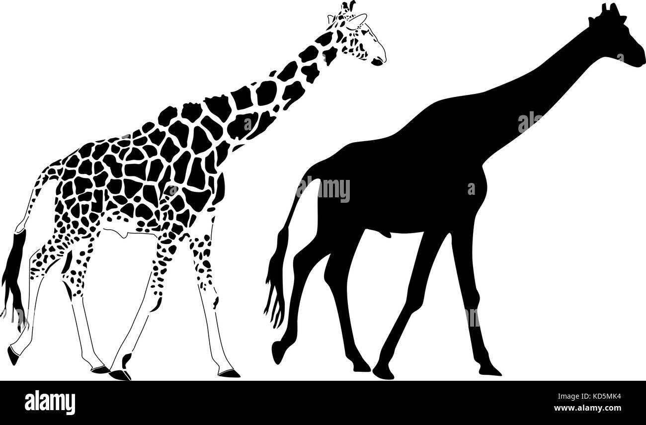 Giraffa vettore silhouette Illustrazione Vettoriale