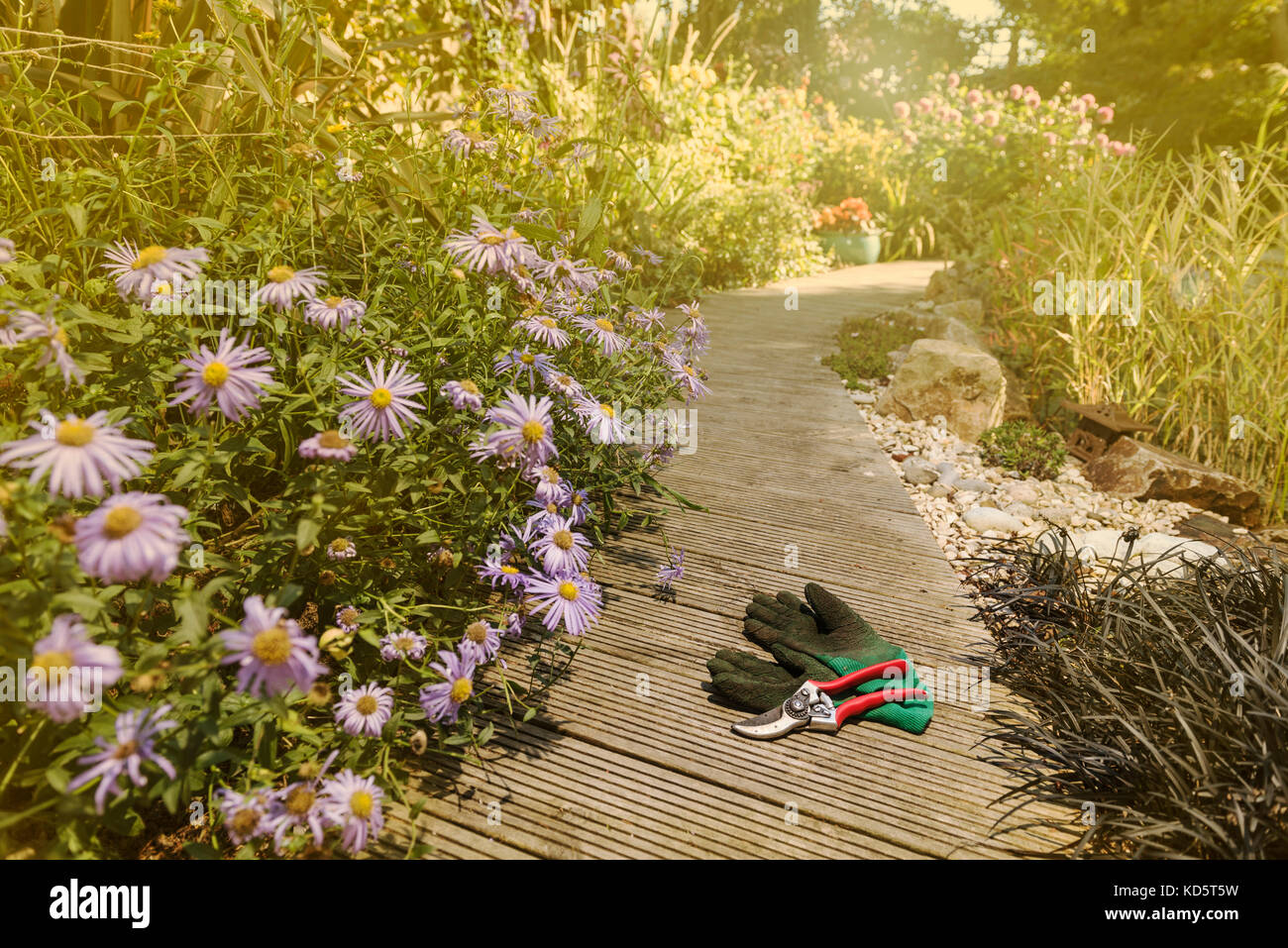 Secateurs e guanti da giardino sulla terrazza. Foto Stock