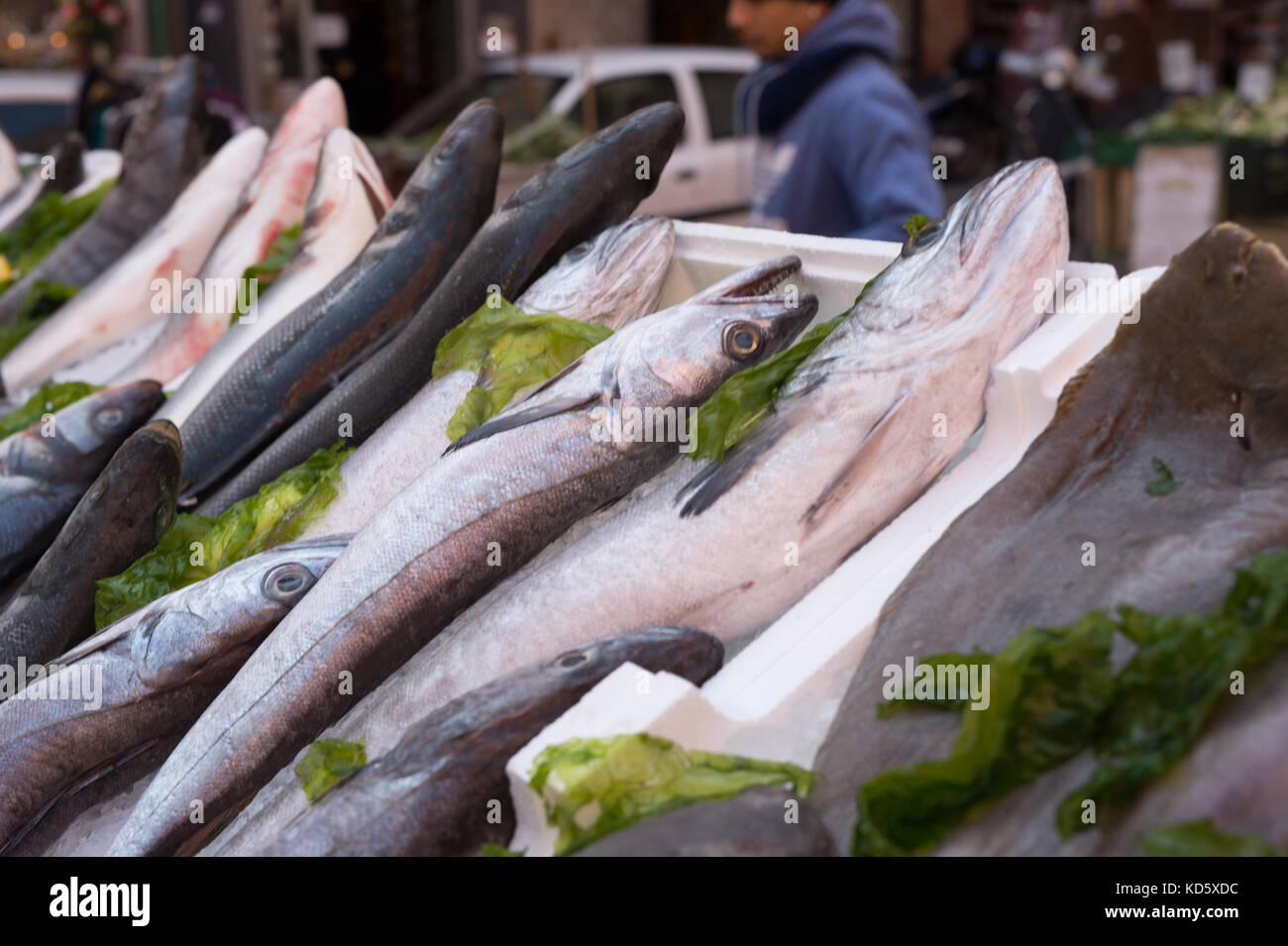 Merluzzi, Mediterranea di pesce al mercato di napoli, Italia Foto Stock