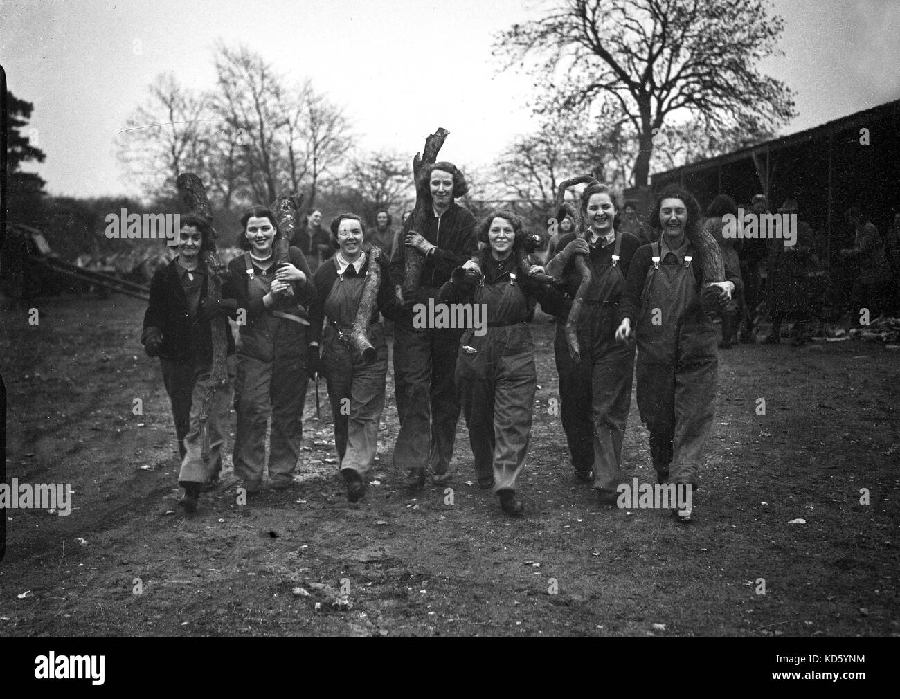 Donna Terreno esercito o terra le ragazze di legname Corps facendo lavori forestali in Inghilterra del sud durante la Seconda Guerra Mondiale Foto Stock