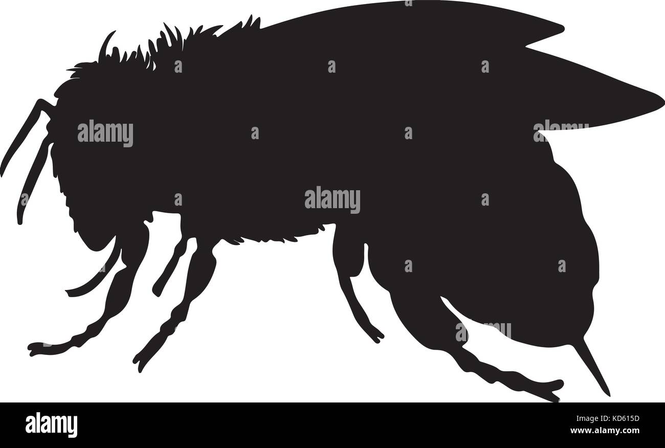 Bee nero silhouette vettoriali Illustrazione Vettoriale
