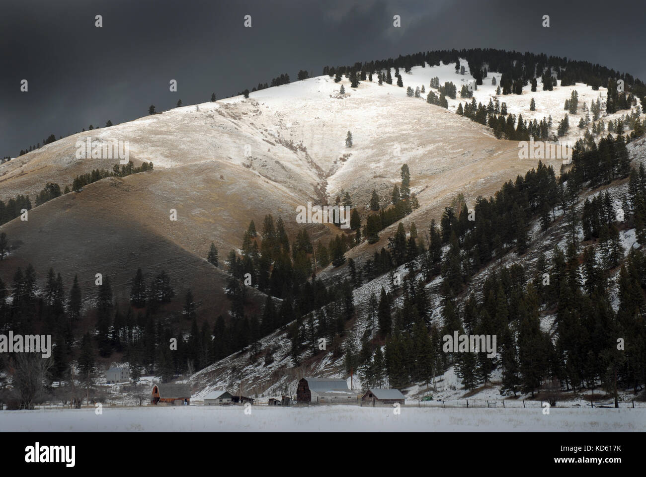 Tempesta di neve di approccio in Montana - Rocky Mountain paesaggio invernale. Foto Stock