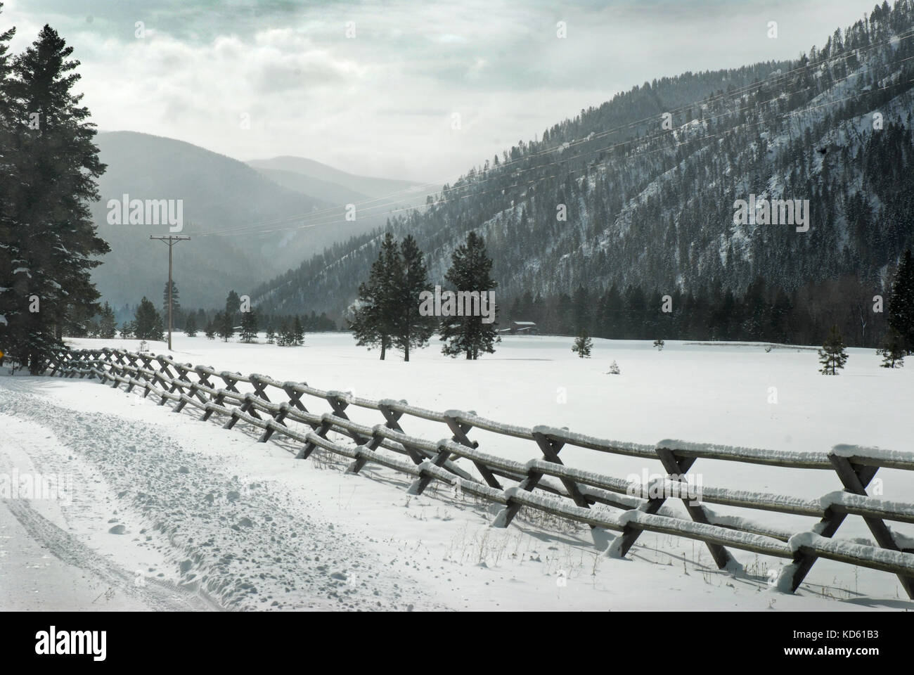 Recinto alberato in inverno nelle montagne del Montana Occidentale. Foto Stock