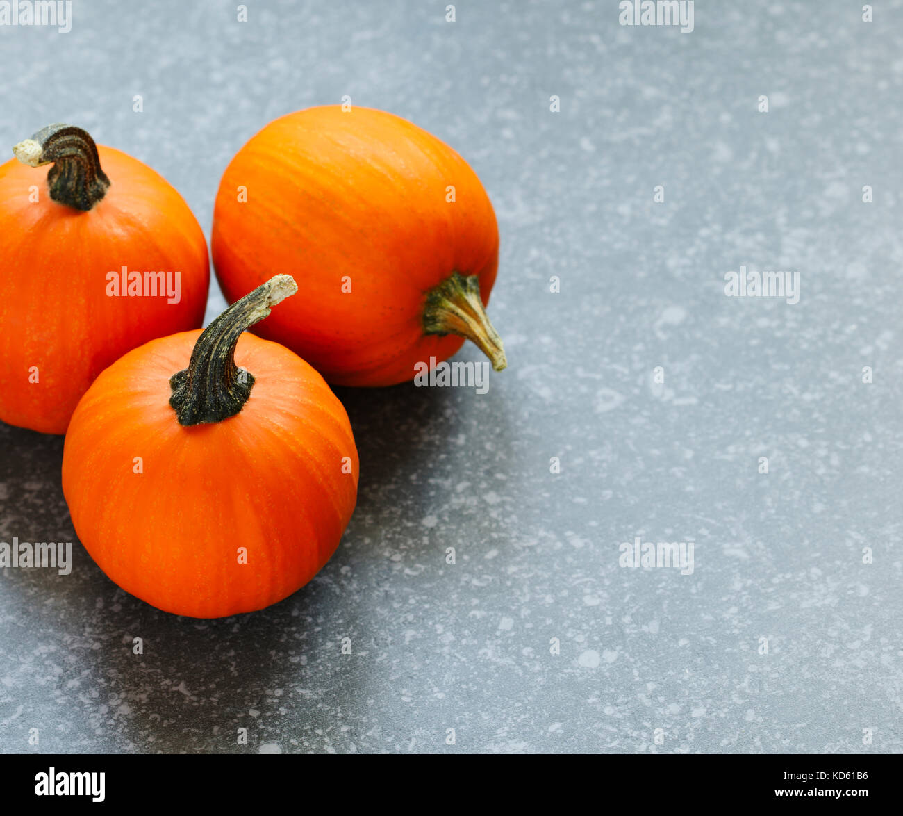Le zucche su sfondo di pietra con spazio di copia Foto Stock
